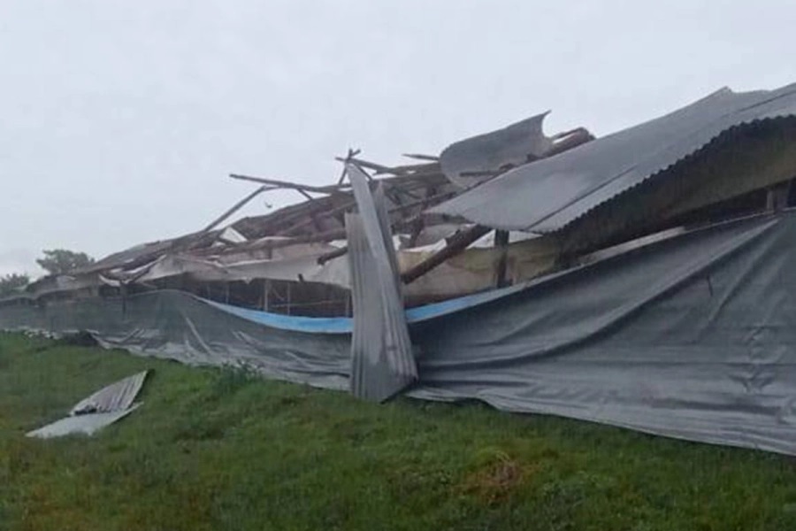 Se produjeron destrozos en galpones de pollo tras el fuerte temporal